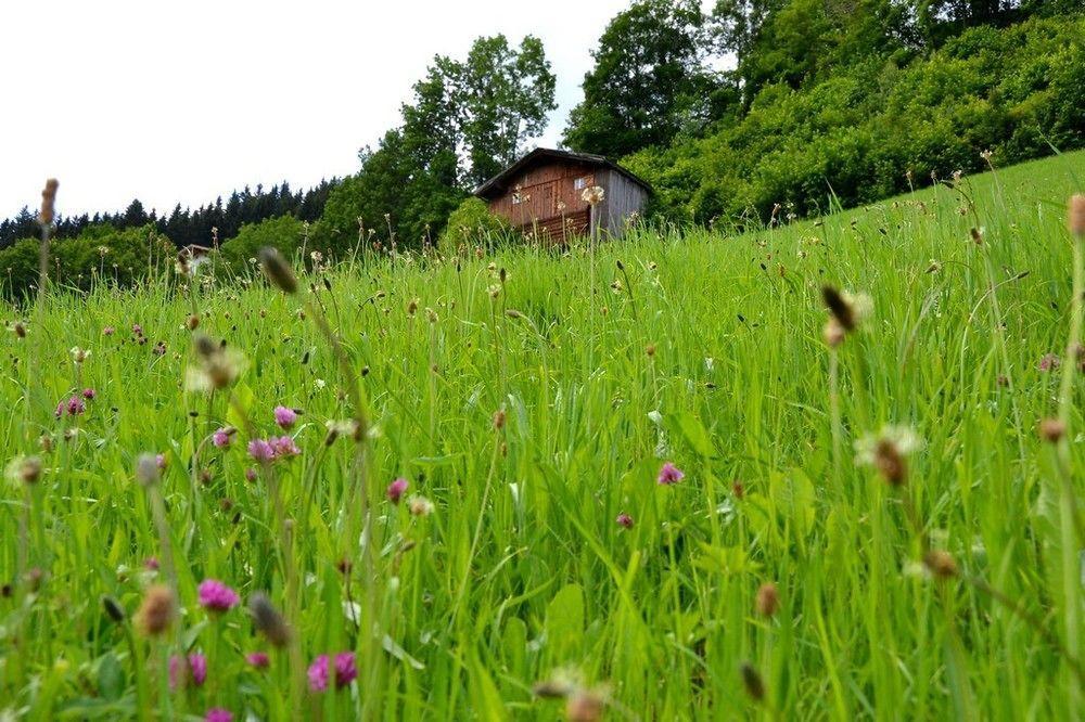 Chalets & Apartments Wachterhof Kaltenbach Exterior photo